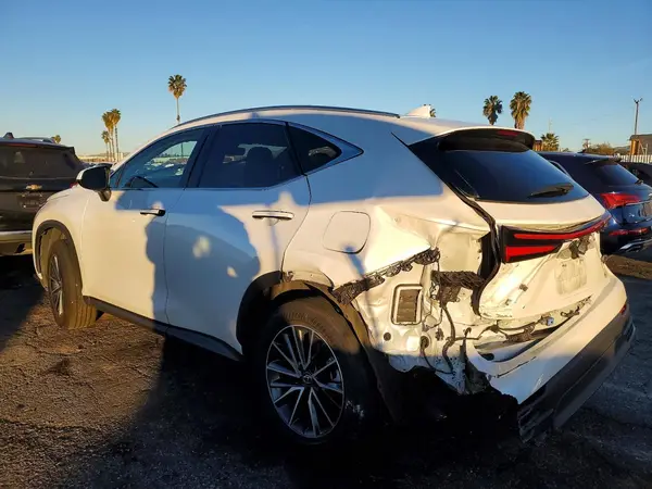 JTJAKCEZ4R5022653 2024 LEXUS NX - Image 2