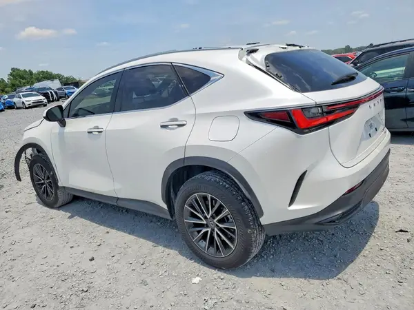 JTJAKCEZ5R5022497 2024 LEXUS NX - Image 2
