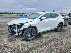 JTJAKCEZ6P5007133 2023 LEXUS NX