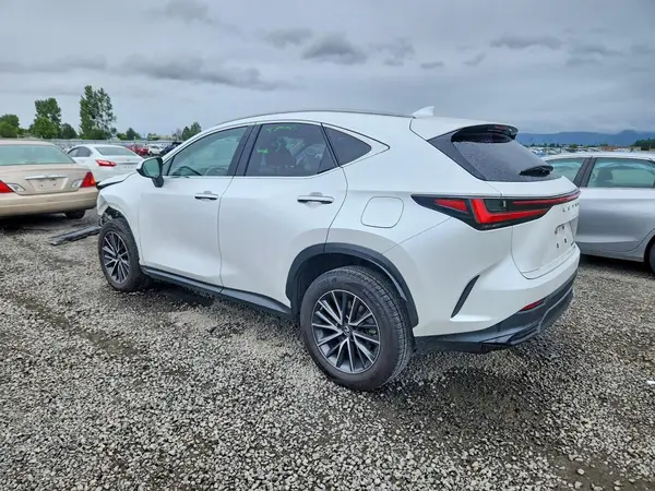JTJAKCEZ6P5007133 2023 LEXUS NX - Image 2