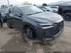 JTJAKCEZ7N2003025 2022 LEXUS NX
