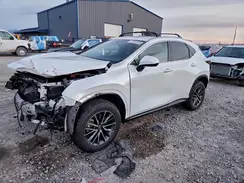 JTJAKCEZ7P2013041 2023 LEXUS NX