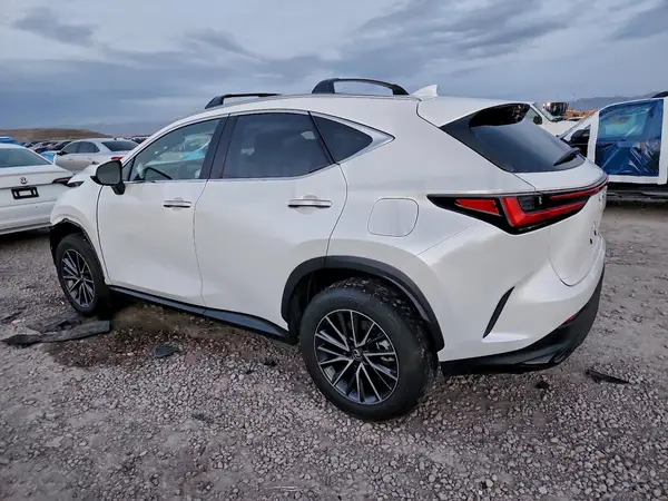 JTJAKCEZ7P2013041 2023 LEXUS NX - Image 2