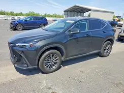 JTJAKCEZ8N5000245 2022 LEXUS NX