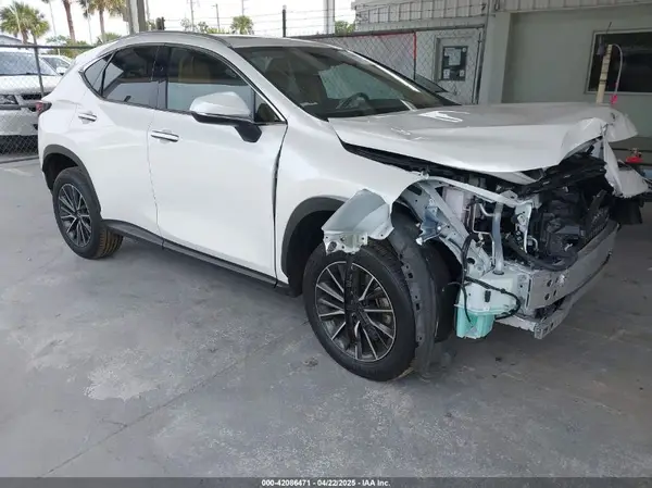 JTJAKCEZ8R5020131 2024 LEXUS NX - Image 1