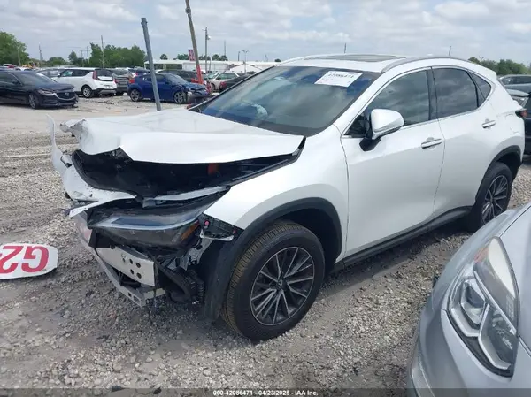 JTJAKCEZ8R5020131 2024 LEXUS NX - Image 2