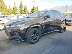 JTJAKCEZ9P2013736 2023 LEXUS NX