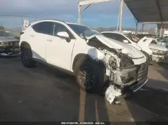 JTJAKCEZ9R2024528 2024 LEXUS NX