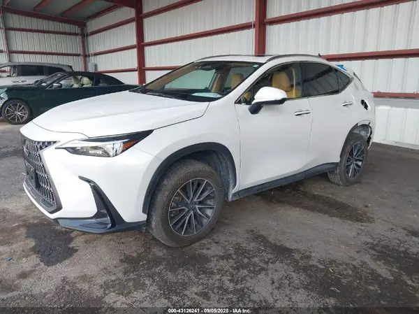 JTJAKCEZ9R5015729 2024 LEXUS NX - Image 2