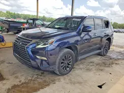 JTJAM7BX4L5251359 2020 LEXUS GX