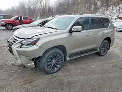 JTJAM7BX5P5353792 2023 LEXUS GX