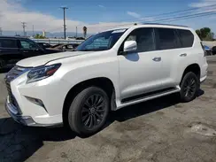 JTJAM7BXXP5381653 2023 LEXUS GX