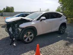 JTJBARBZ0H2098594 2017 LEXUS NX