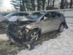 JTJBARBZ0H2103227 2017 LEXUS NX