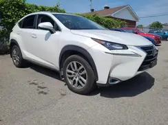 JTJBARBZ0H2135319 2017 LEXUS NX
