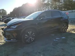 JTJBARBZ0J2151803 2018 LEXUS NX