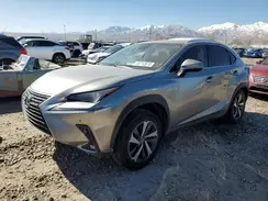 JTJBARBZ0J2173090 2018 LEXUS NX