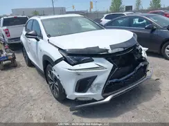 JTJBARBZ0K2183846 2019 LEXUS NX