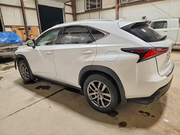 JTJBARBZ0K2192529 2019 LEXUS NX - Image 2