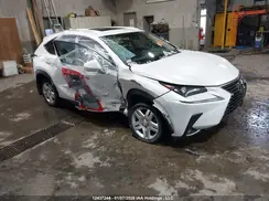 JTJBARBZ0K2194734 2019 LEXUS NX