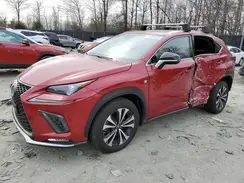 JTJBARBZ0K2195012 2019 LEXUS NX
