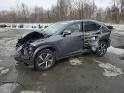 JTJBARBZ0K2195916 2019 LEXUS NX