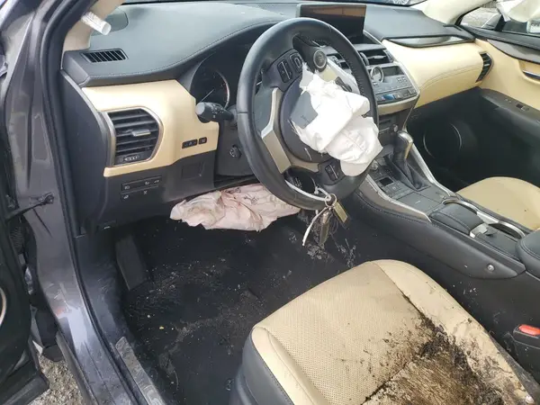 JTJBARBZ0K2195916 2019 LEXUS NX - Image 8