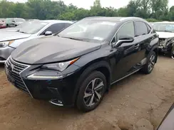 JTJBARBZ0K2201813 2019 LEXUS NX