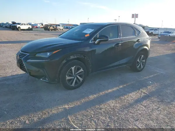 JTJBARBZ0K2203268 2019 LEXUS NX - Image 2