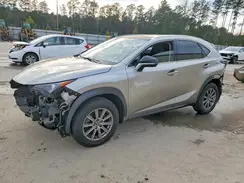 JTJBARBZ0K2204629 2019 LEXUS NX