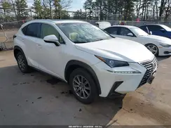 JTJBARBZ0K2205120 2019 LEXUS NX