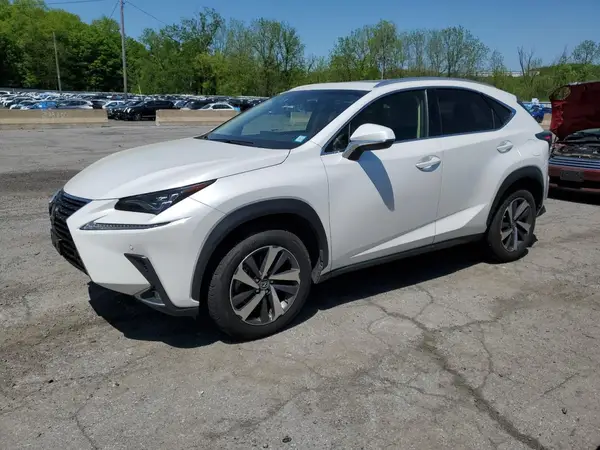 JTJBARBZ0K2206672 2019 LEXUS NX - Image 1