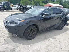 JTJBARBZ0K2214030 2019 LEXUS NX