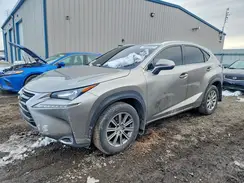 JTJBARBZ1G2055140 2016 LEXUS NX