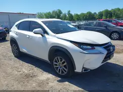 JTJBARBZ1G2062251 2016 LEXUS NX