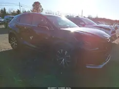 JTJBARBZ1G2088767 2016 LEXUS NX