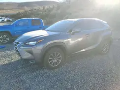 JTJBARBZ1H2100093 2017 LEXUS NX