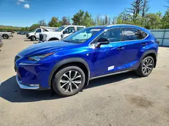 JTJBARBZ1H2110350 2017 LEXUS NX