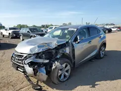 JTJBARBZ1H2121509 2017 LEXUS NX