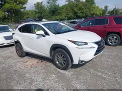 JTJBARBZ1H2130064 2017 LEXUS NX
