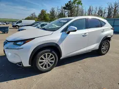 JTJBARBZ1H2148029 2017 LEXUS NX