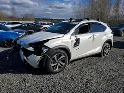 JTJBARBZ1J2166357 2018 LEXUS NX