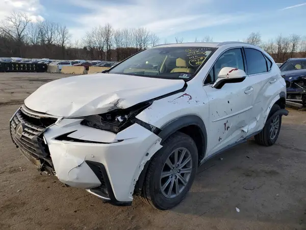 JTJBARBZ1K2179854 2019 LEXUS NX - Image 1