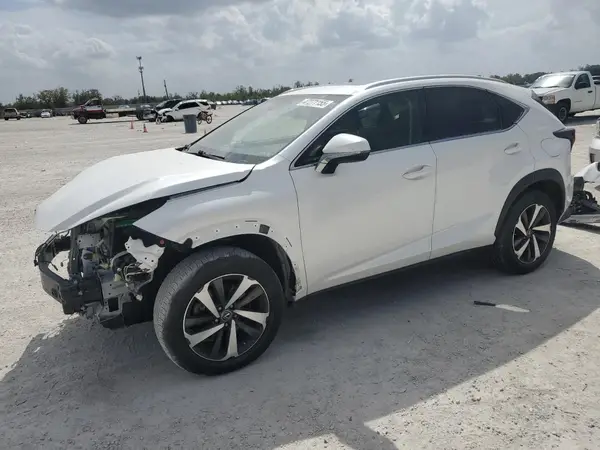 JTJBARBZ1K2181135 2019 LEXUS NX - Image 1