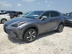 JTJBARBZ1K2183192 2019 LEXUS NX