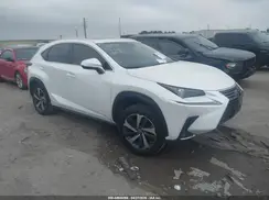 JTJBARBZ1K2189185 2019 LEXUS NX