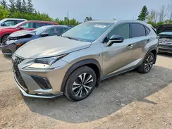 JTJBARBZ1K2191650 2019 LEXUS NX