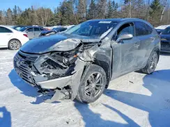 JTJBARBZ1K2198131 2019 LEXUS NX