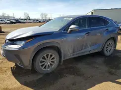 JTJBARBZ1K2201268 2019 LEXUS NX
