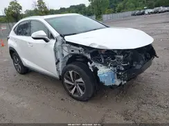 JTJBARBZ1K2202226 2019 LEXUS NX
